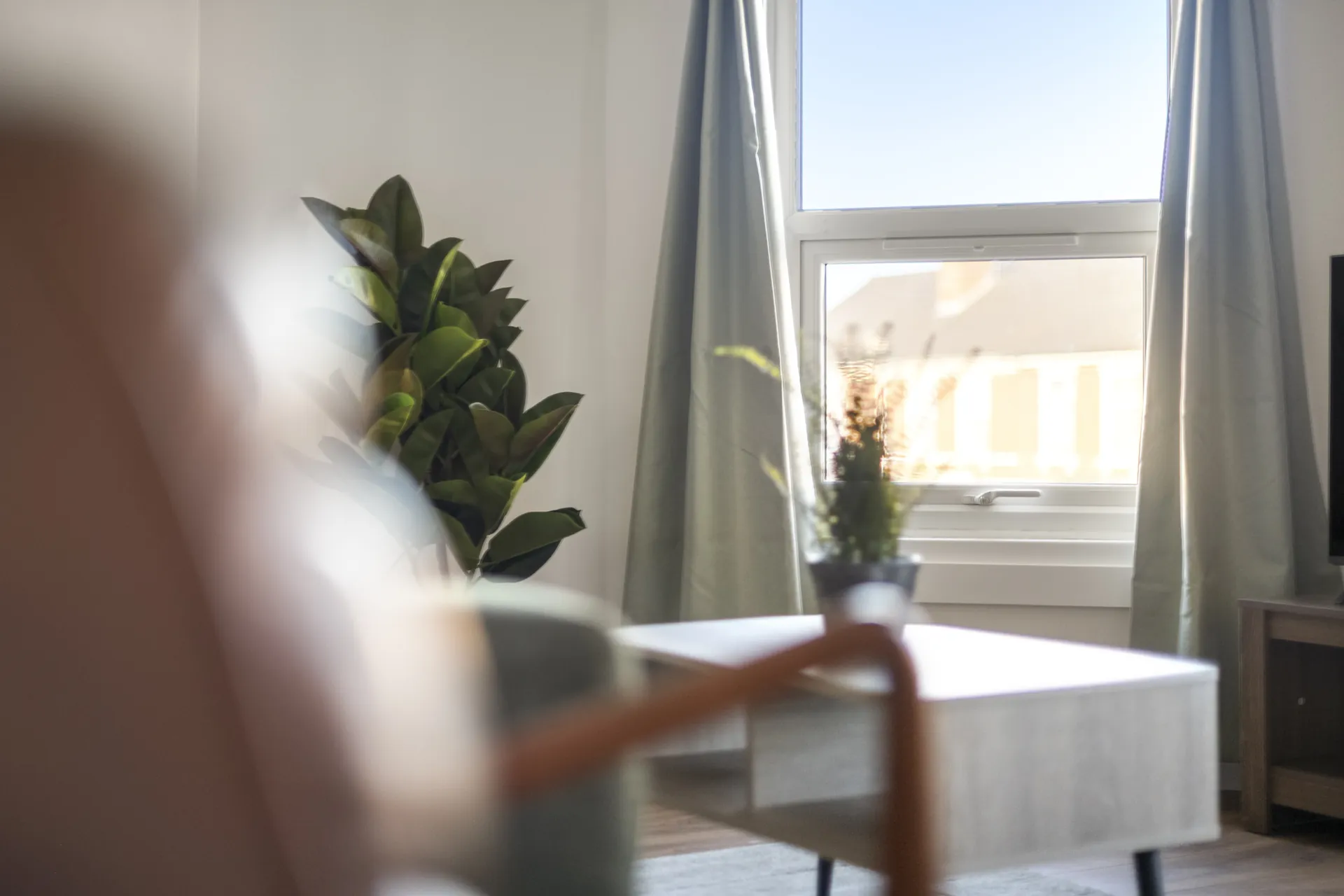 A bright corner beside the window